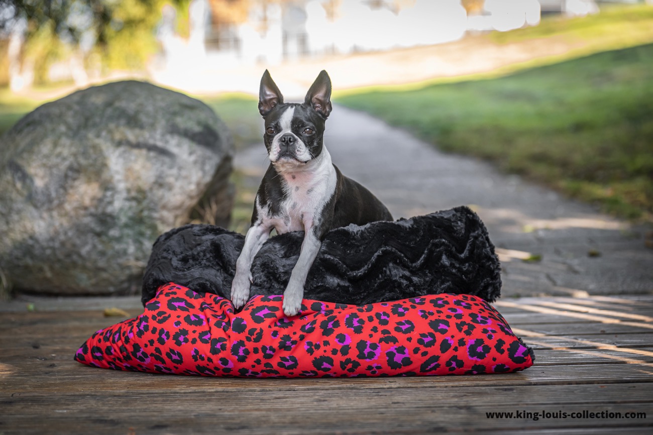 Kuschelsack - Leo rot 10