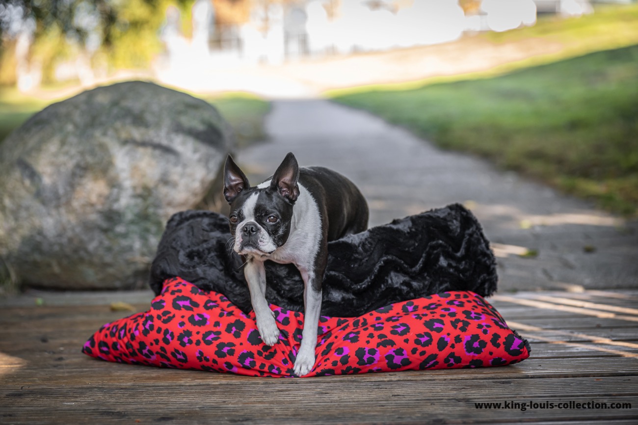 Kuschelsack - Leo rot 11