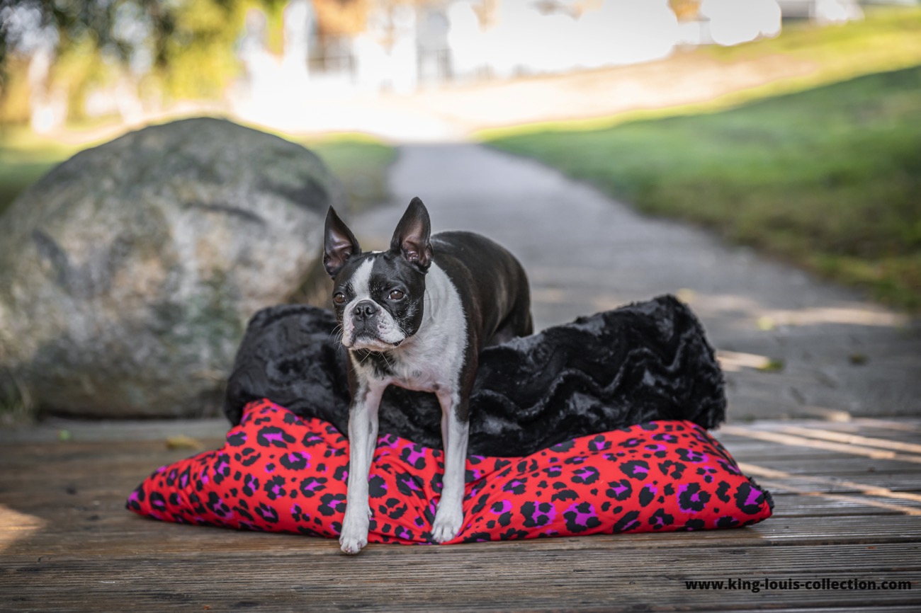 Kuschelsack - Leo rot 12