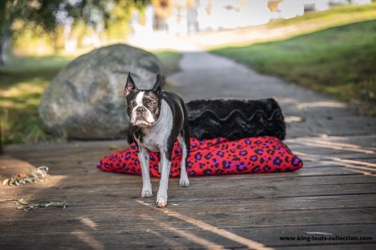 Kuschelsack - Leo rot 13