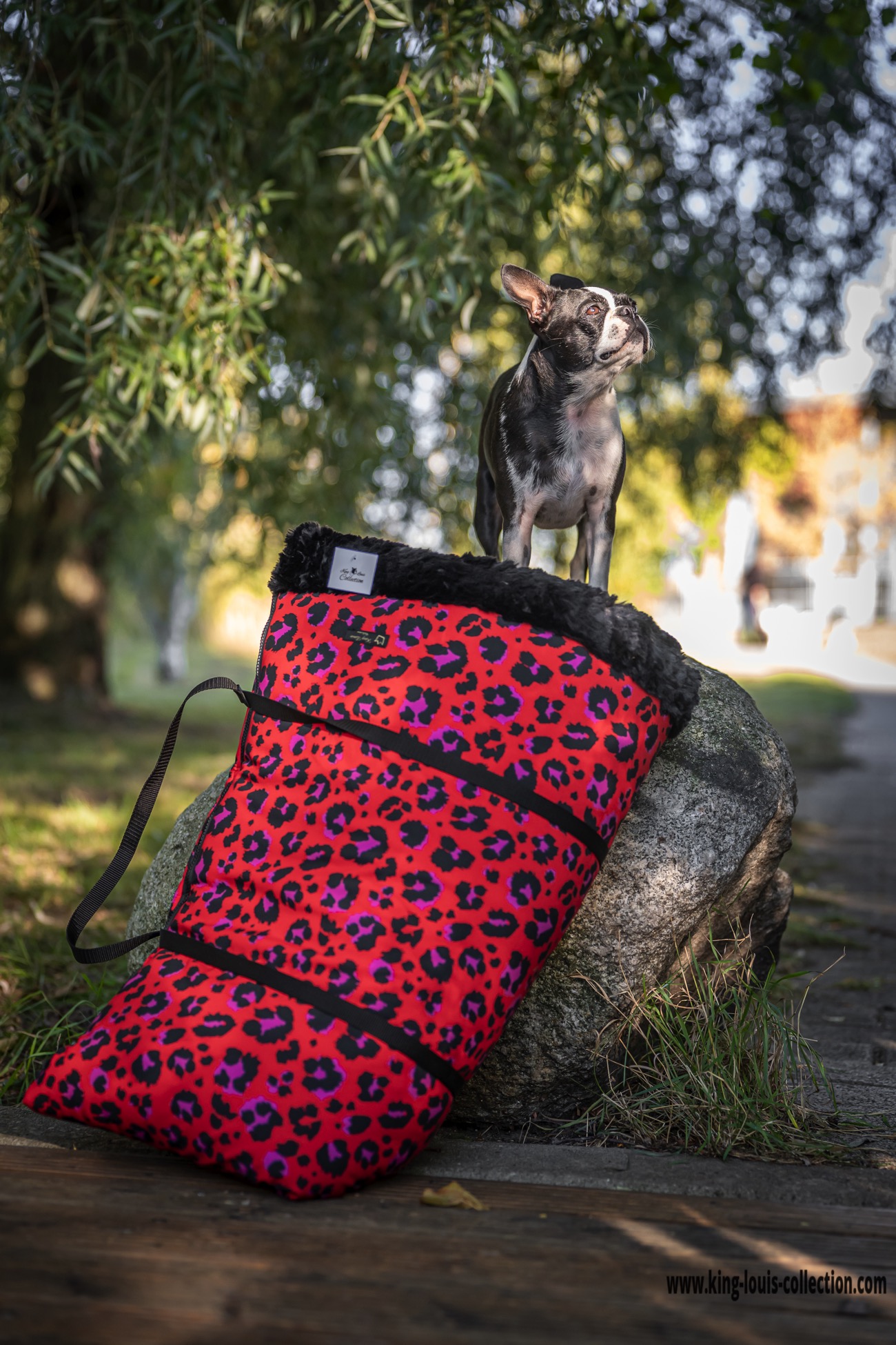 Kuschelsack - Leo rot 3