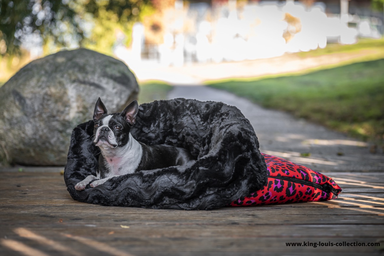 Kuschelsack - Leo rot 4