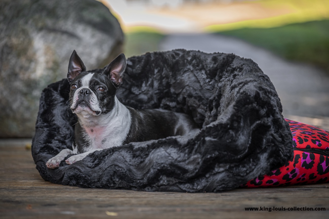 Kuschelsack - Leo rot 5