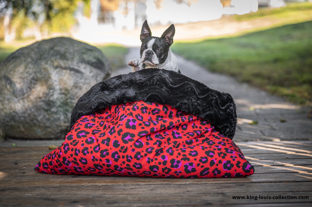 Kuschelsack - Leo rot 8