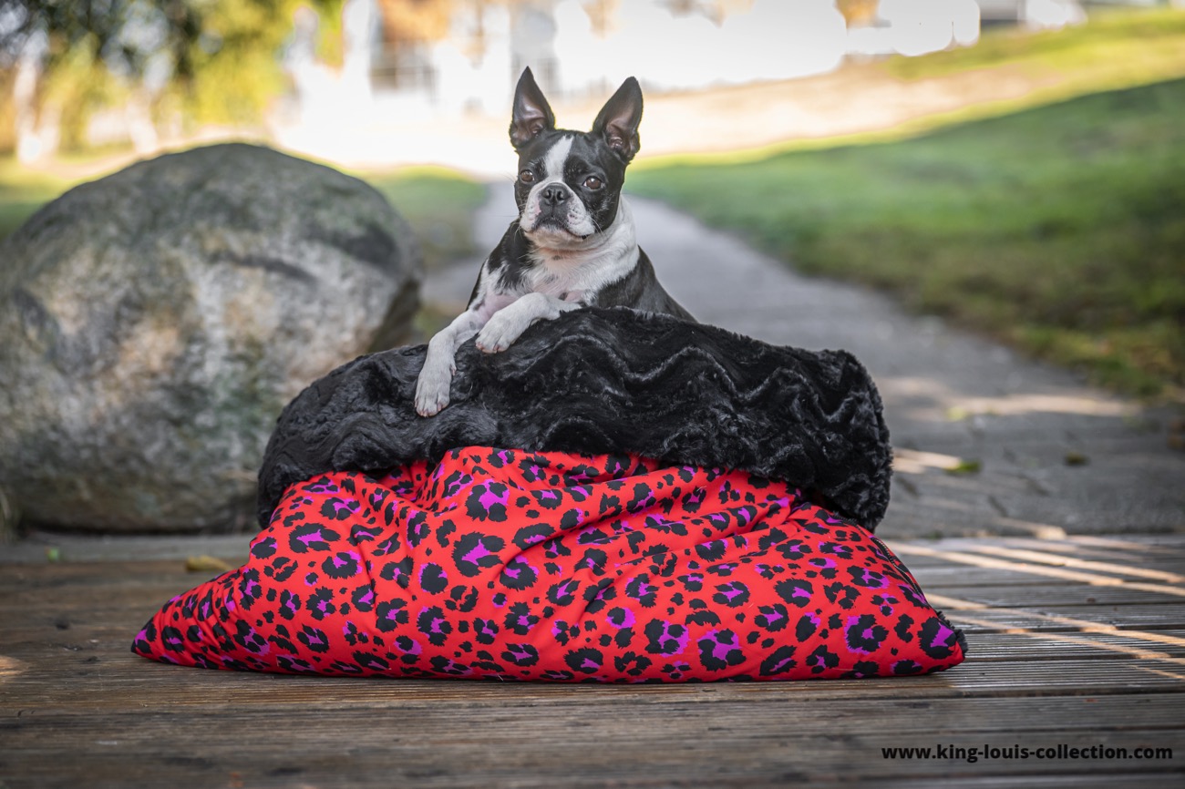 Kuschelsack - Leo rot 9