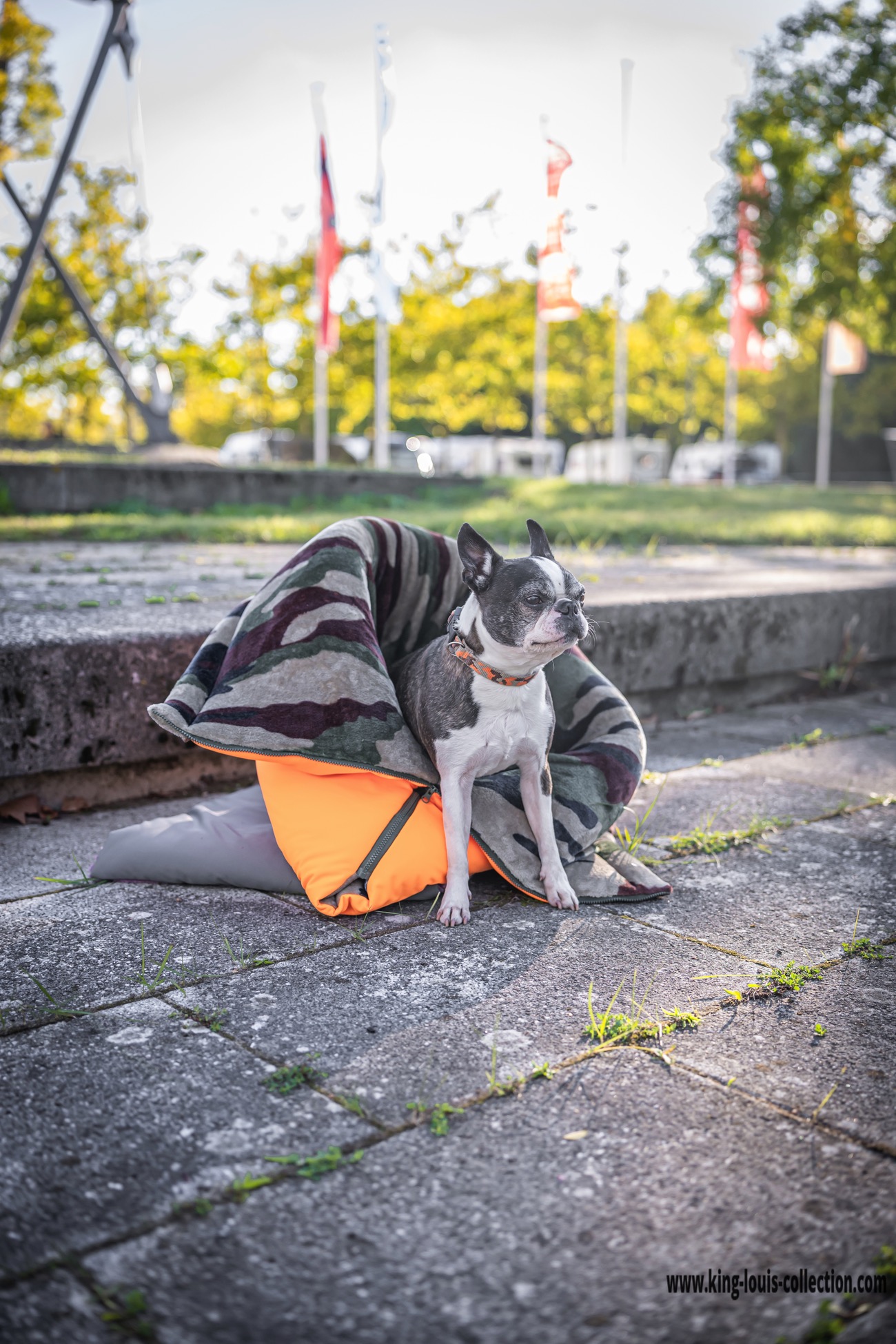 Kuschelsack - neon 6