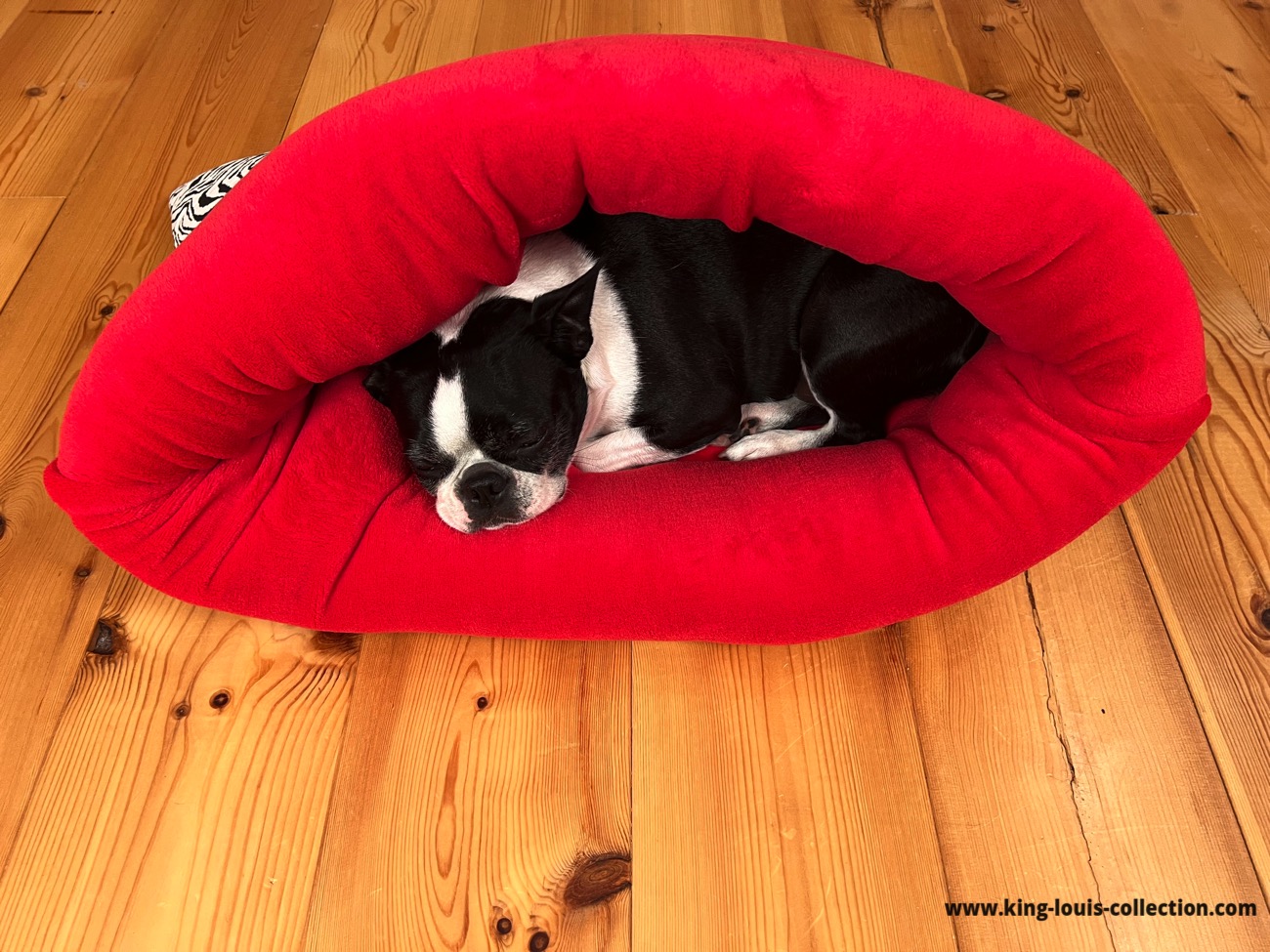 Kuschelsack - Zebra red – Bild 5